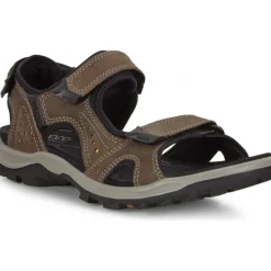 ECCO 820084