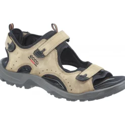 ECCO 069534