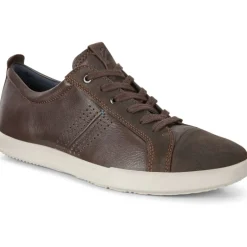 ECCO 536204